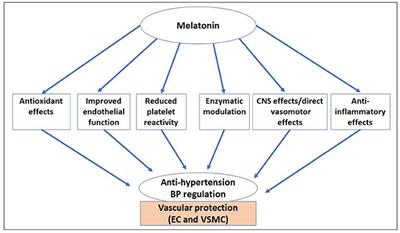 Cardiovascular Benefits of Dietary Melatonin: A Myth or a Reality?